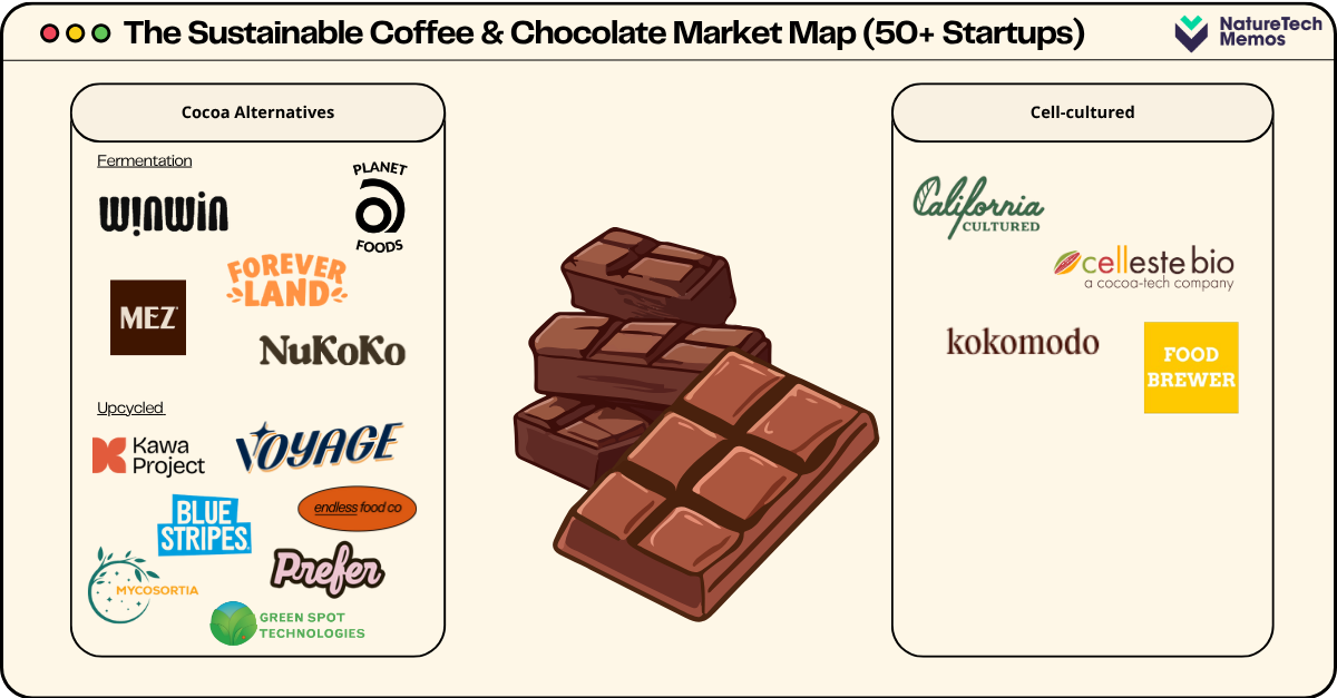 Top 20+ Sustainable Coffee & Chocolate Startups in 2025