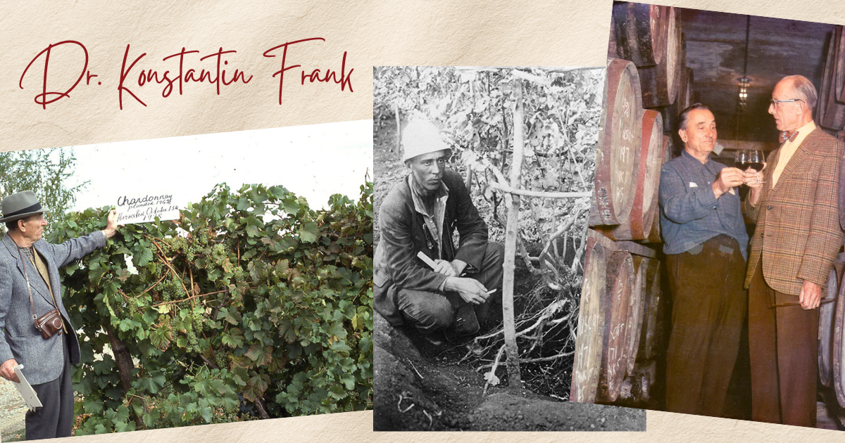 NY wine exists because of a Ukrainian immigrant 🗽