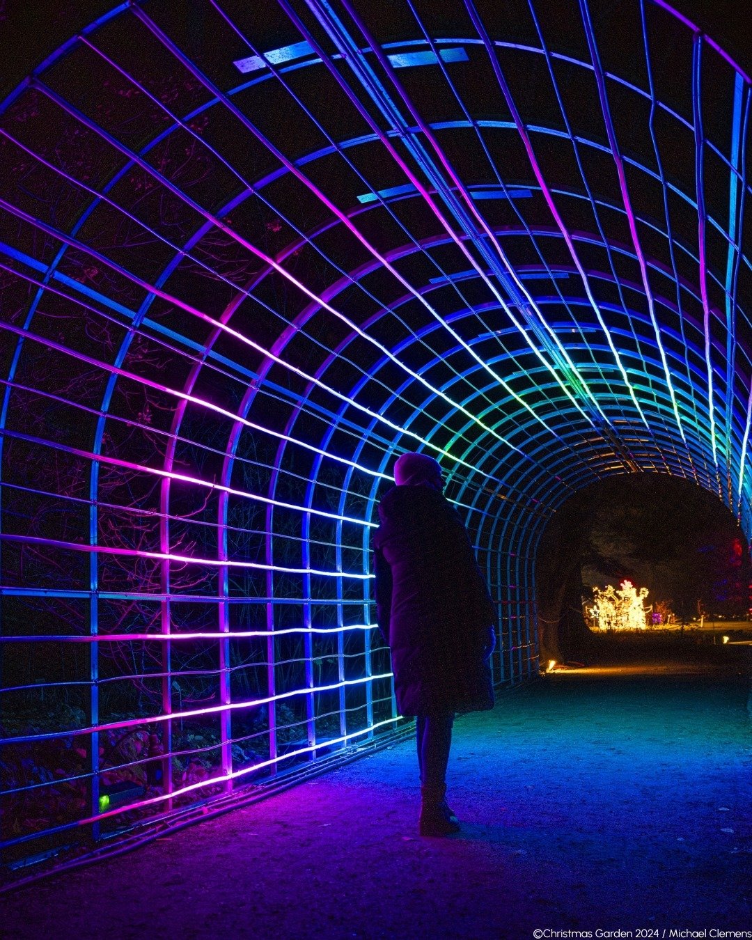 Hello Berlin! Here's what you need to know for your week November 19-23rd