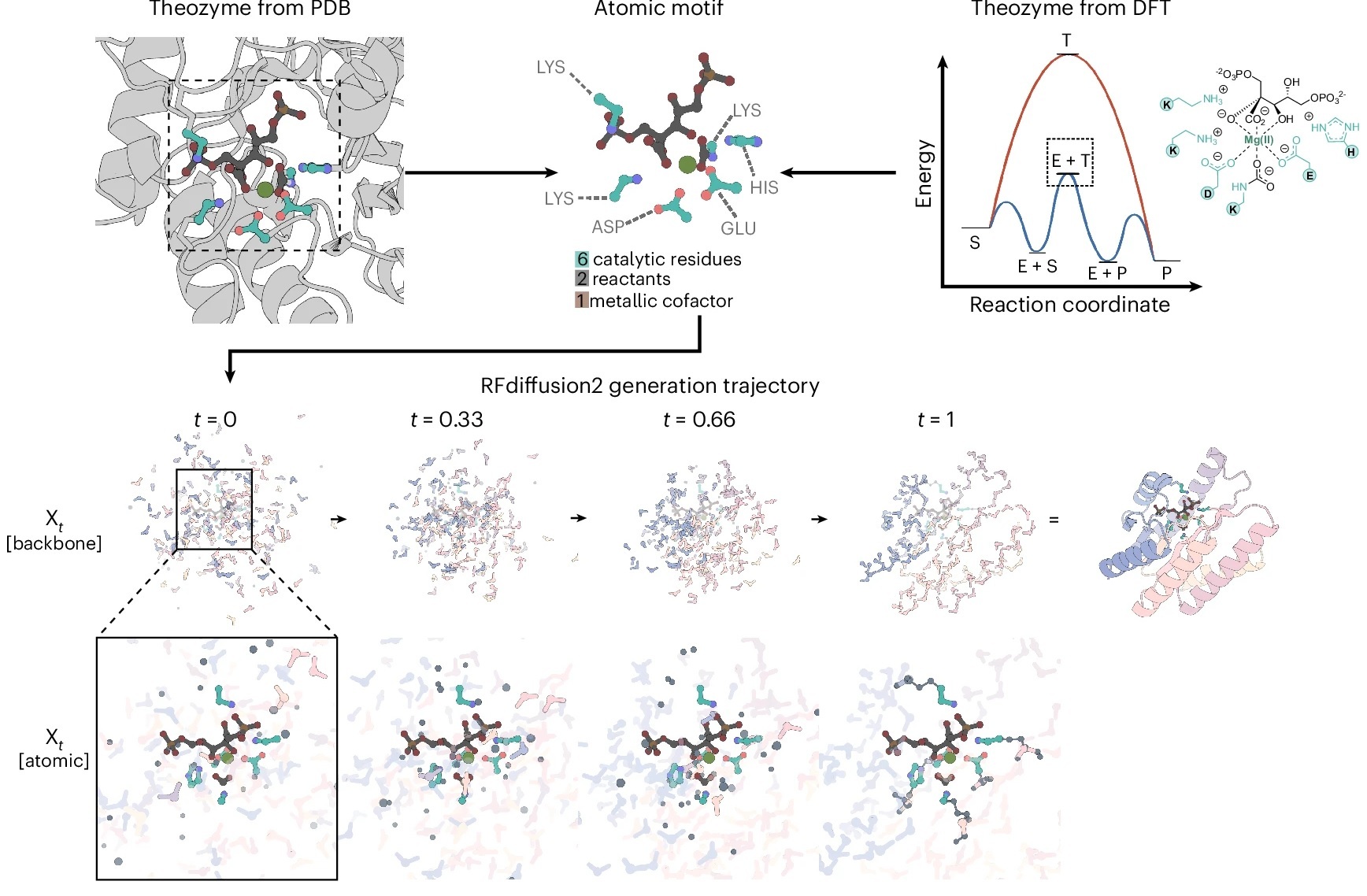 AI-Designed Enzyme Atoms: RFdiffusion2 Crafts Catalytic Proteins!