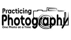 Why Photo Contests Are One of the Best Ways to Practice