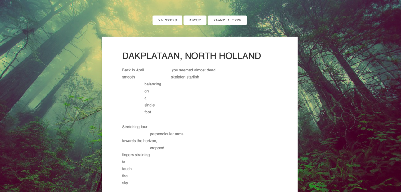 Dakplataan, North Holland