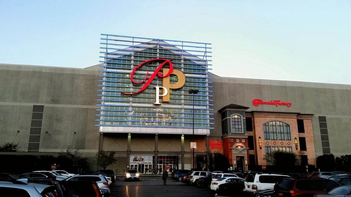 Palisades Center heads to public auction