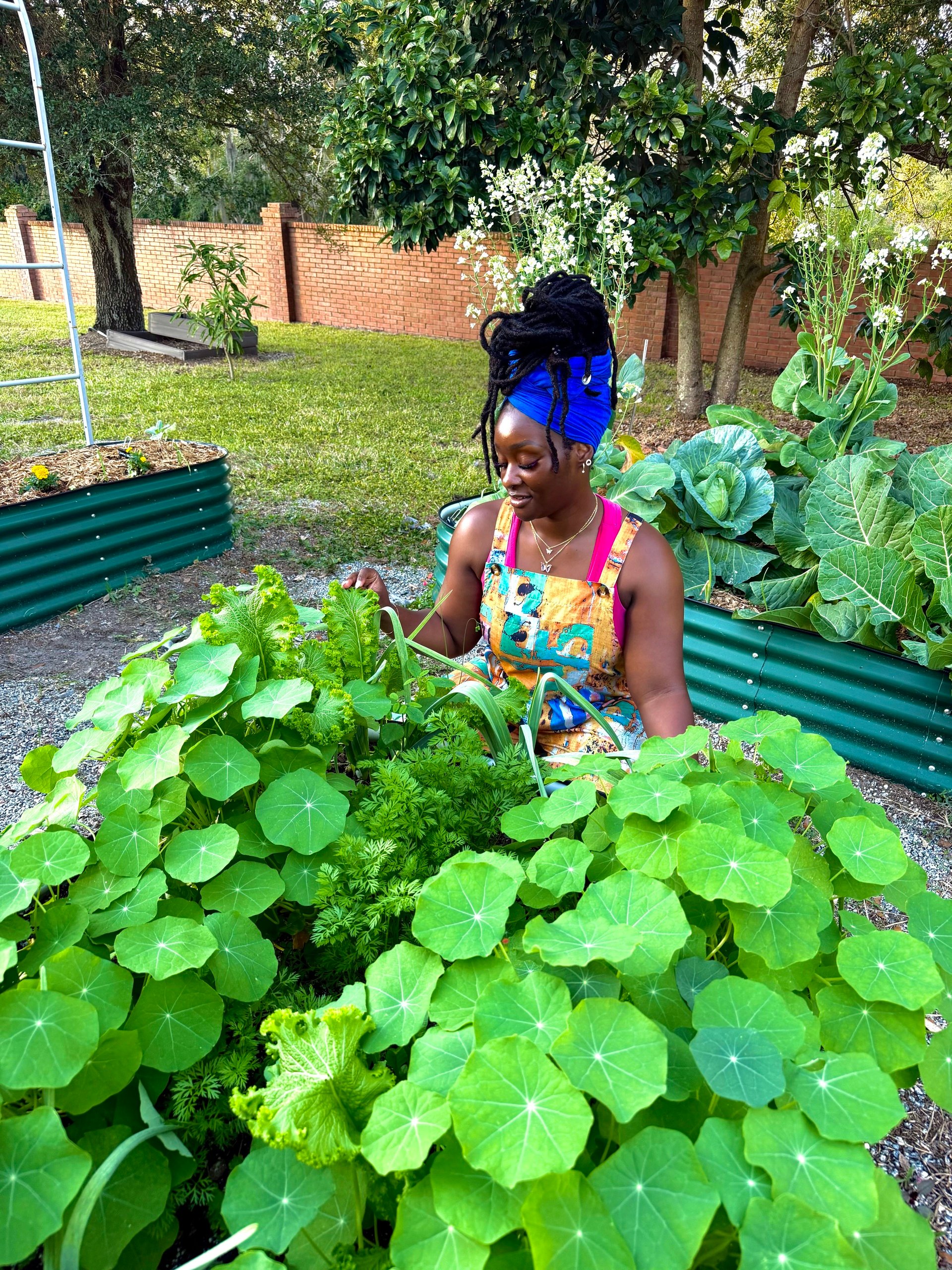 What to Plant in Spring