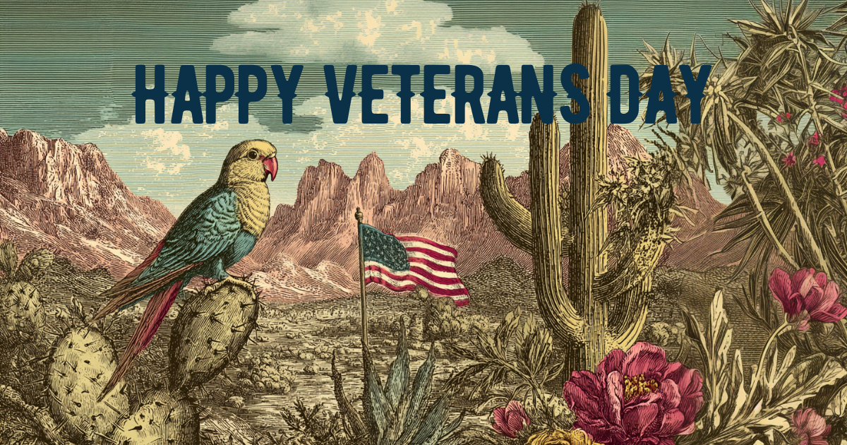 BNSF denied & Happy Veterans Day 🇺🇸