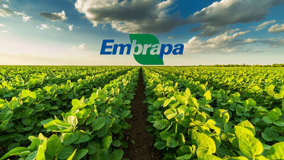 Embrapa livre de impostos e agro BR exportando até demais