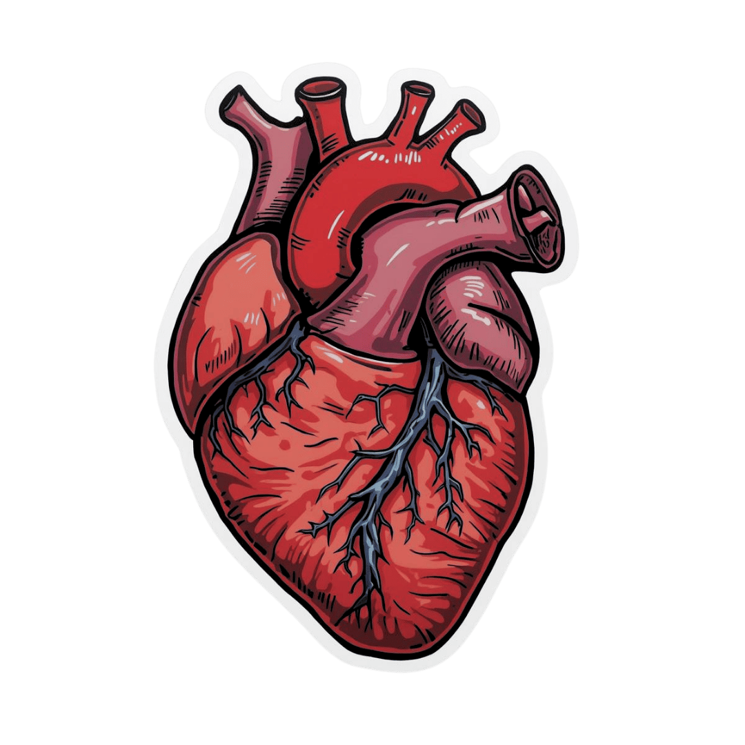 What COVID Does To Your Heart
