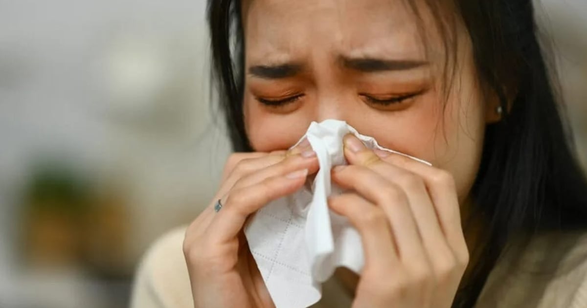 Grocery Aisles Beat Pharmacy Shelves: Foods That Shut Down Histamine and Stop Seasonal Allergies at the Source