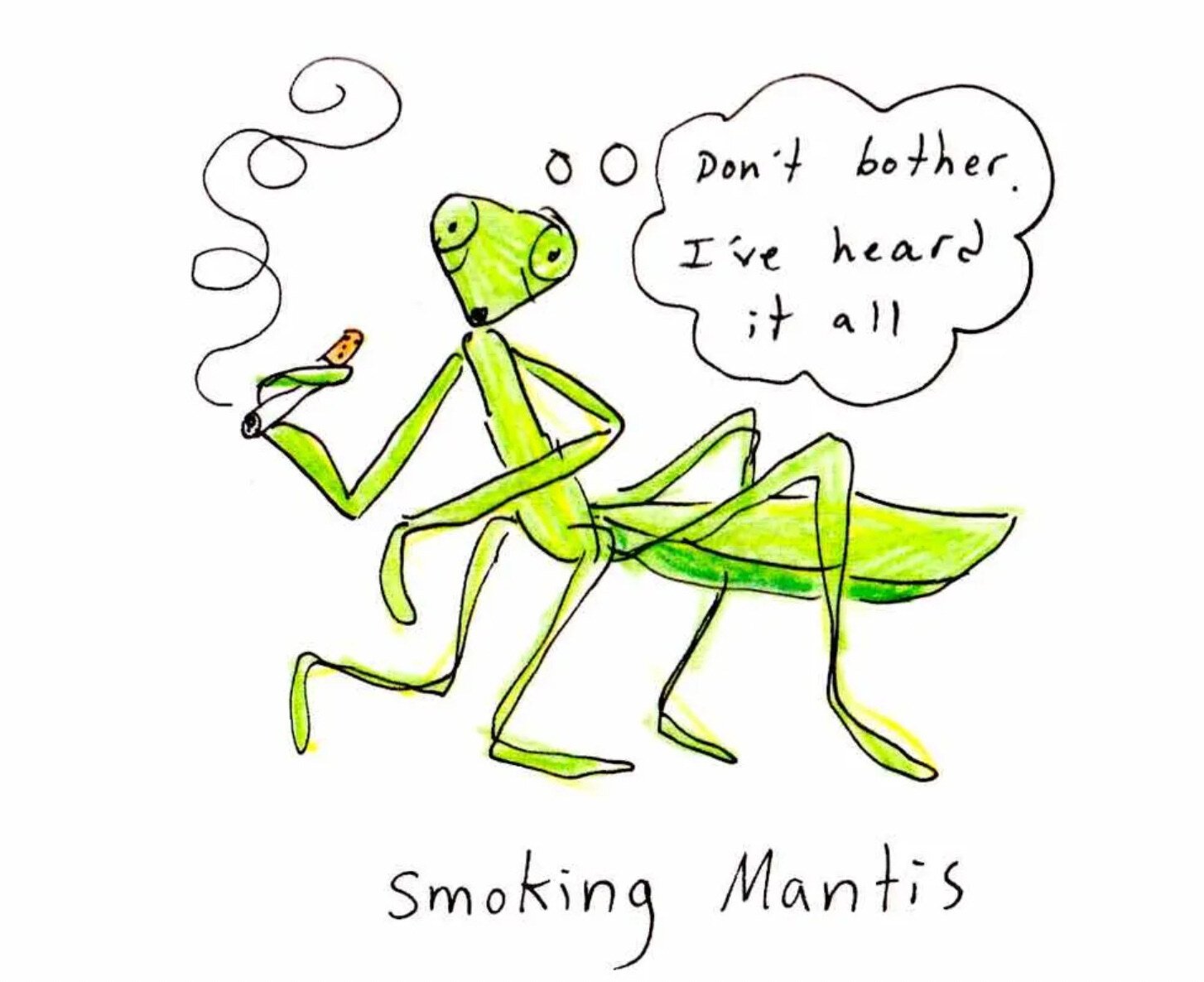 Getting Sober, and Also, You’re an Insect