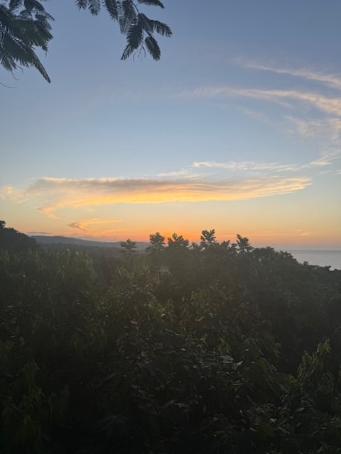 Conditions for Restoration