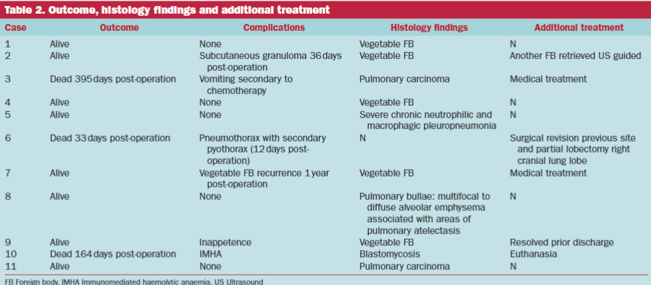 Accessory Lung Lobe Surgery Safe in Dogs: New Study Confirms Both Left and Right Approaches