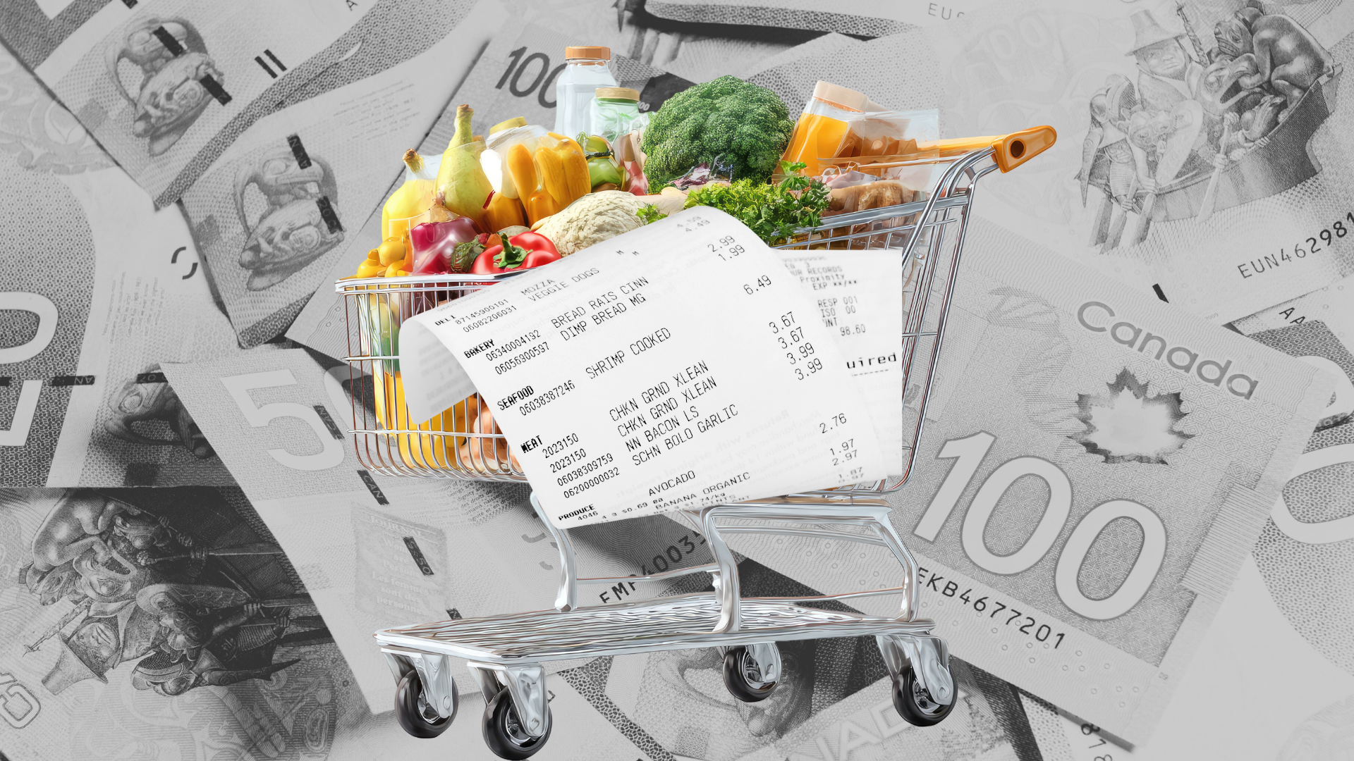 Ottawa rolls out food inflation rebate 
