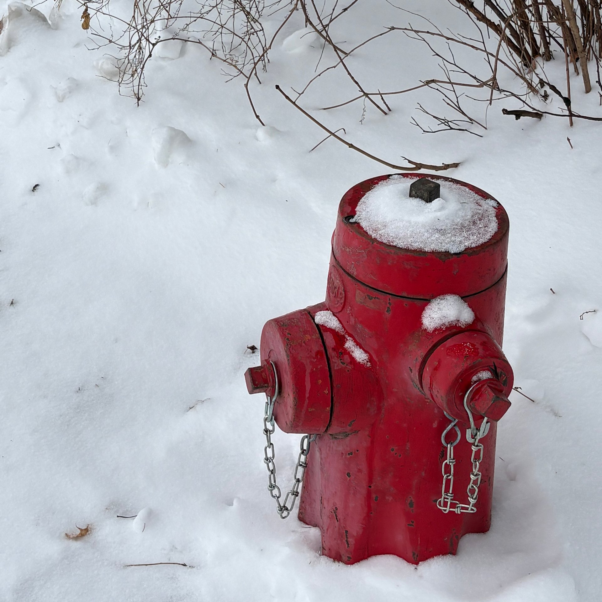 Arbee's Newsletter 4