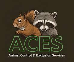 ACES Wildlife Solutions Brings Humane Wildlife Control to Middle Tennessee