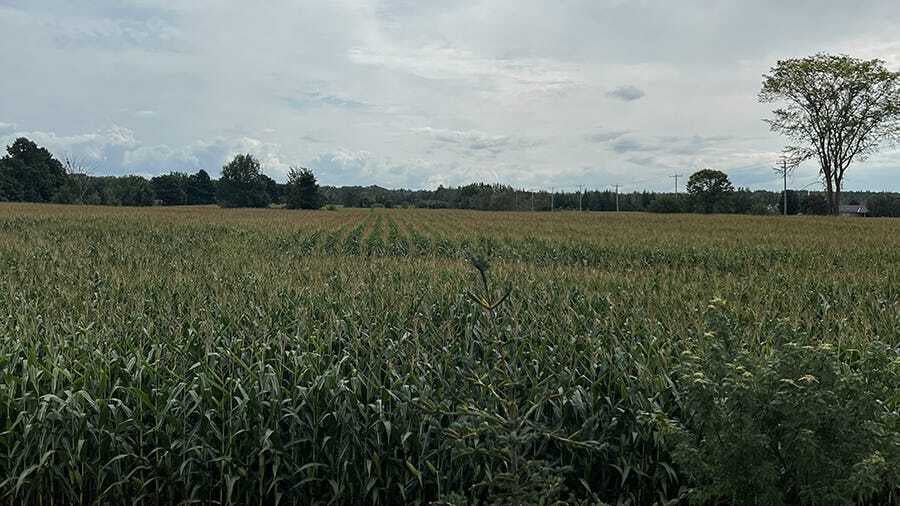 16 | On creativity & ego