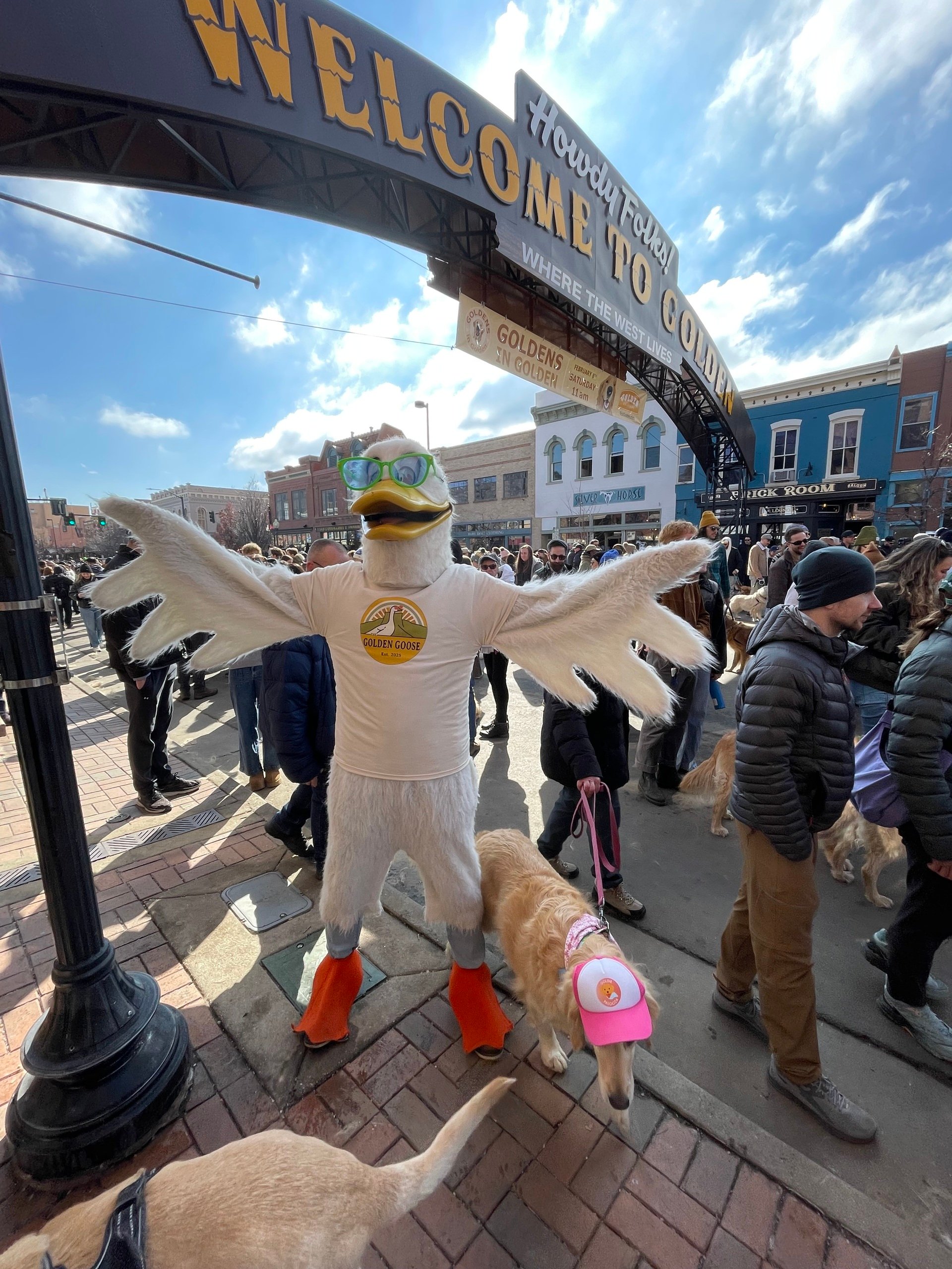 🪿 Goldens in Golden