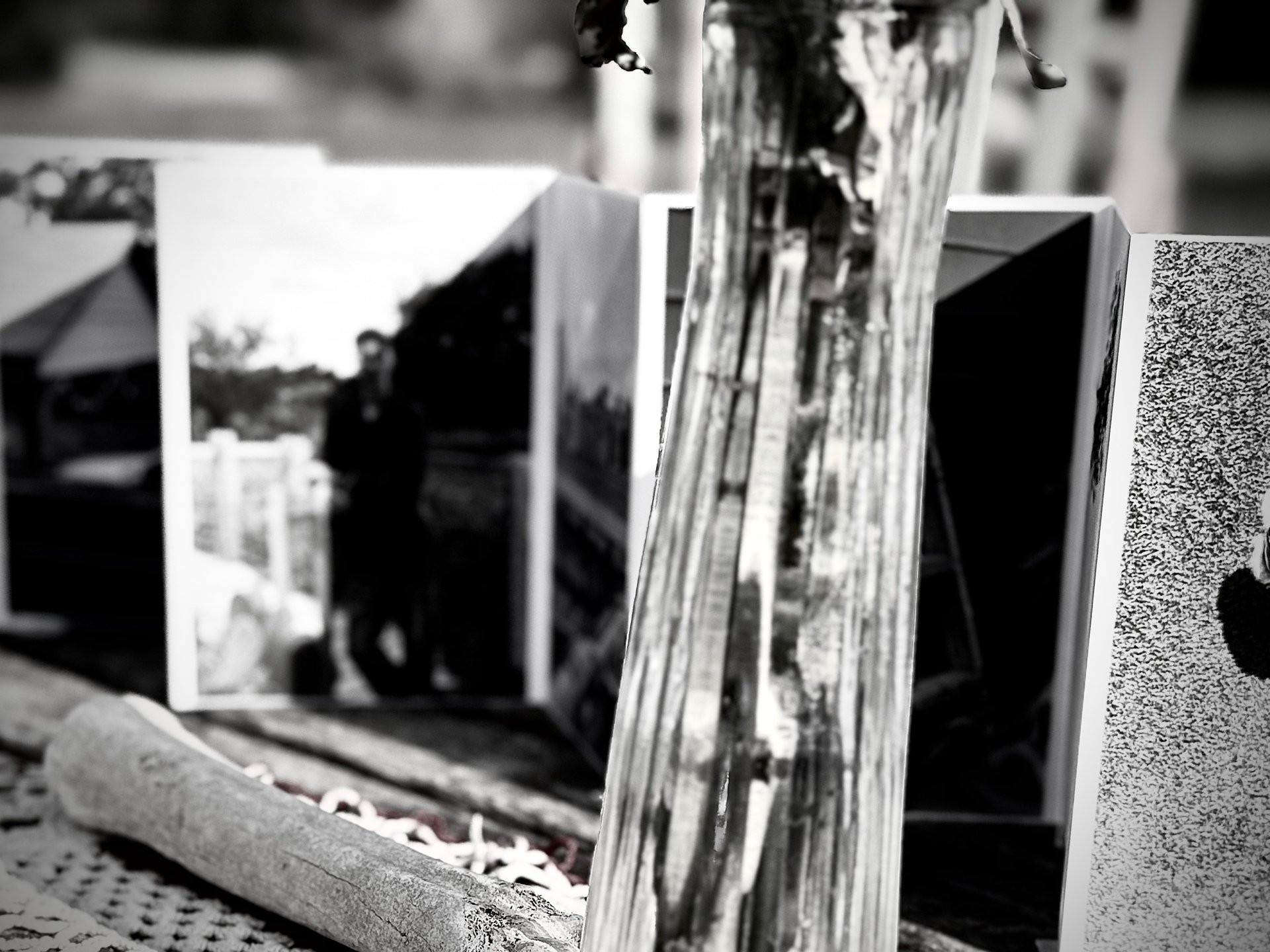 KoinNews: the latest in the world of community service