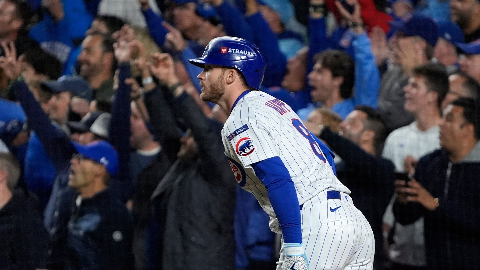 We Will See You Tomorrow Night