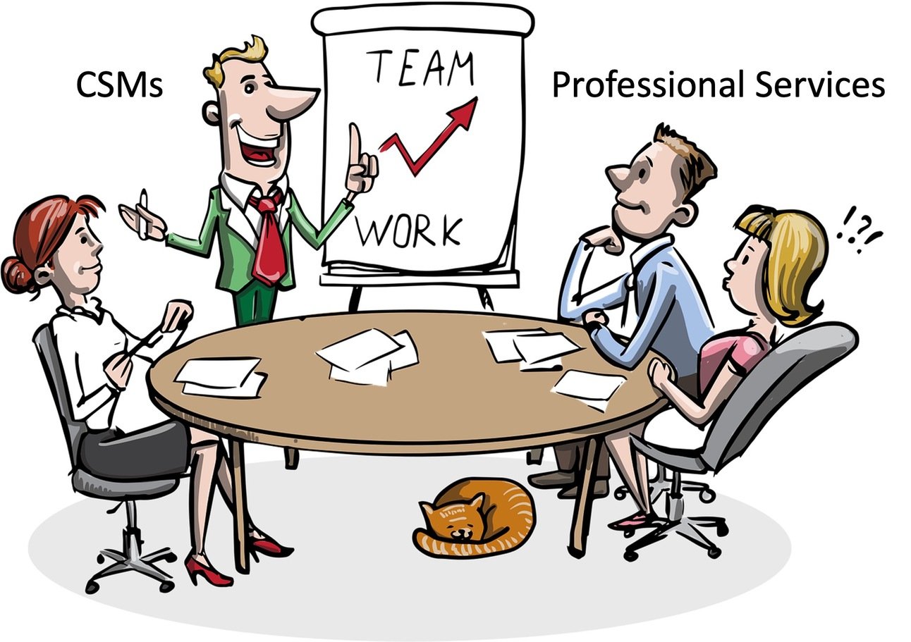 Professional Services versus Customer Success