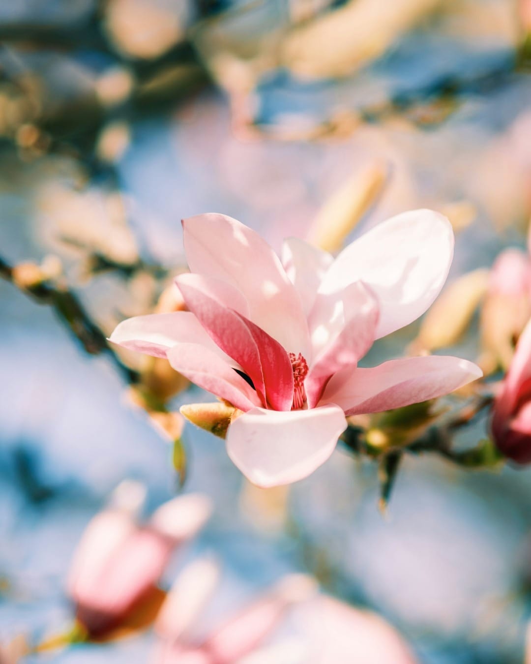 The Power of Self-Acceptance: Embracing Every Part of Who You Are