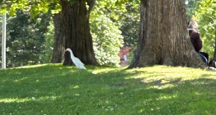 🌎 Our marble needs your help