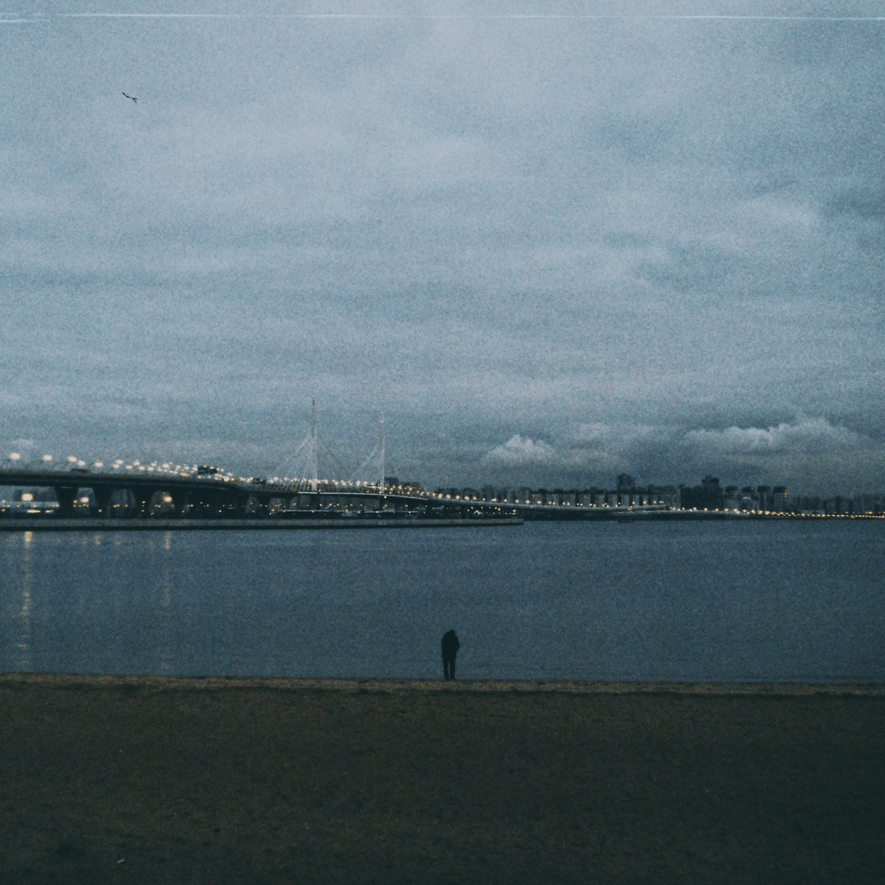 Arbee's Newsletter 14