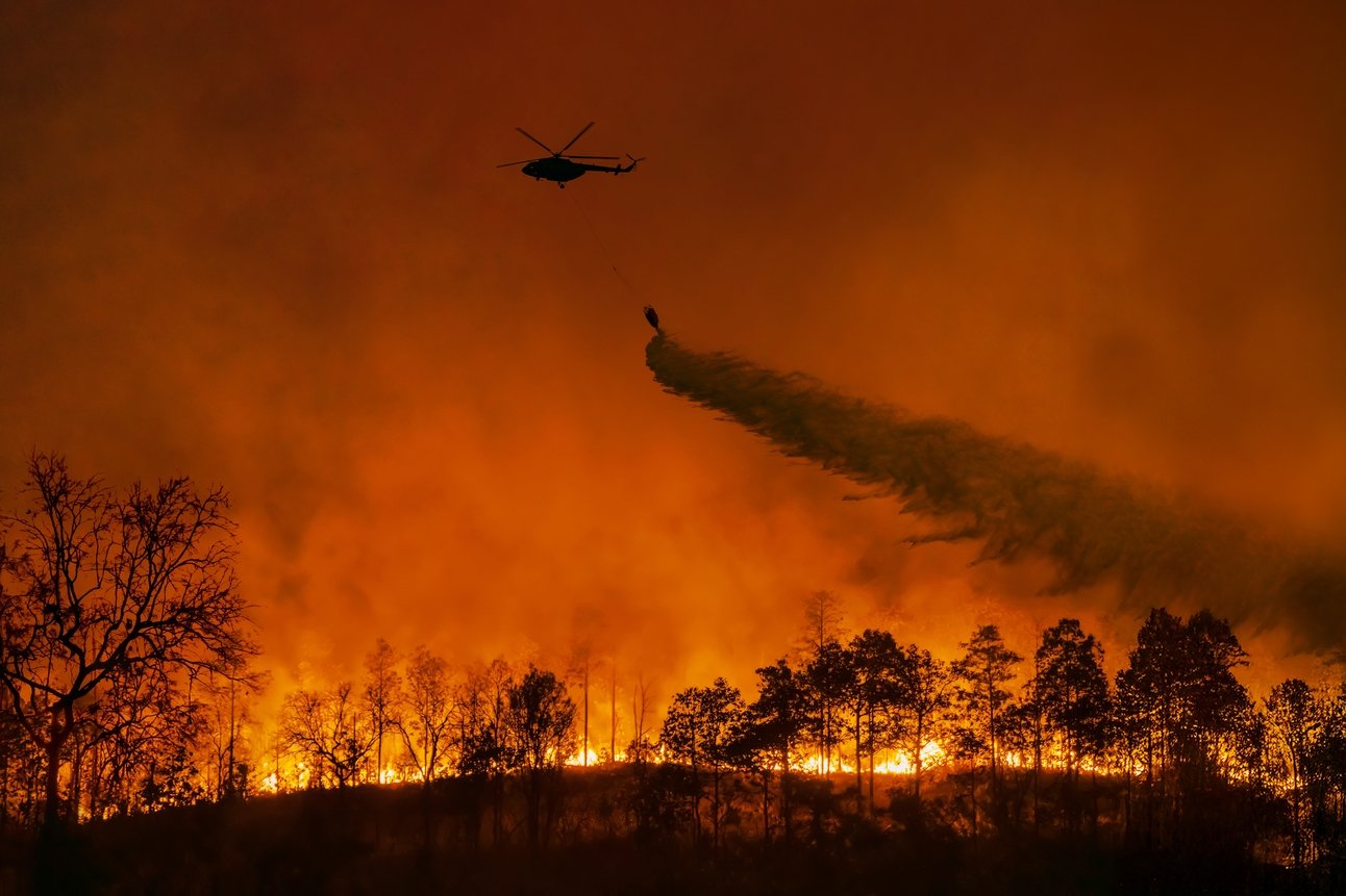 California Wildfires: A Climate Crisis, Implications for the UK