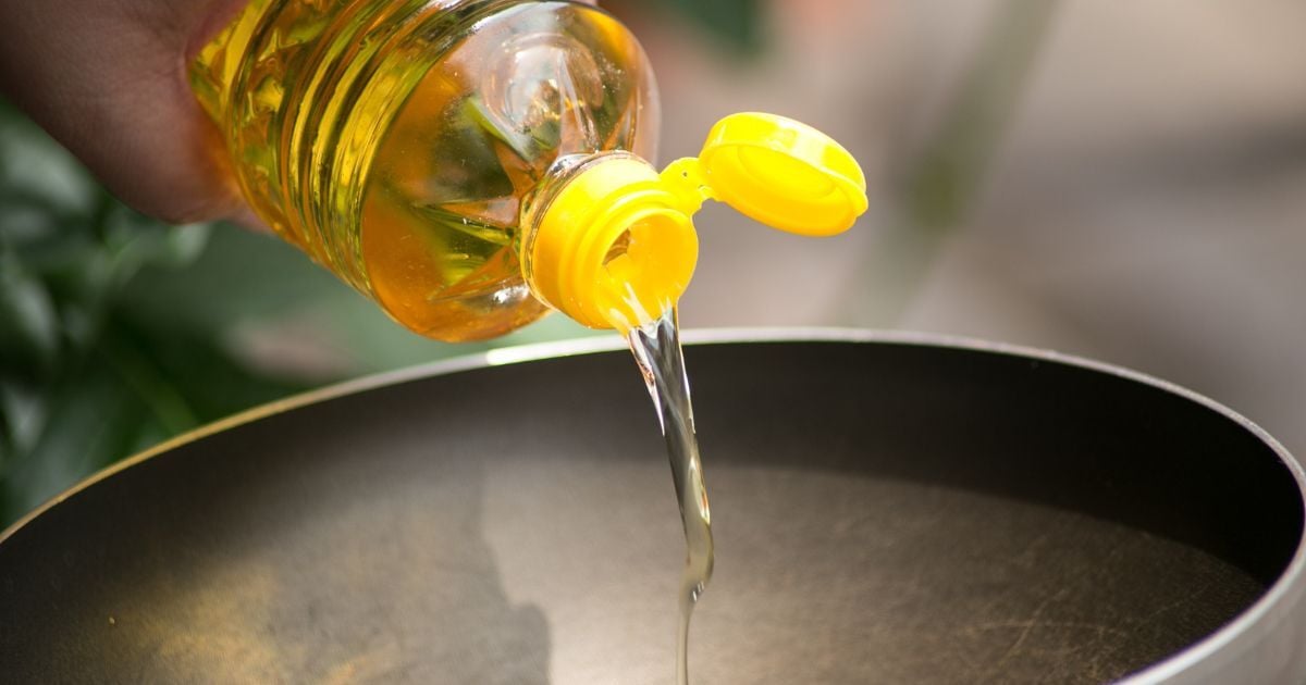 How a Mouse Study Links Soybean Oil Metabolism to Weight Gain