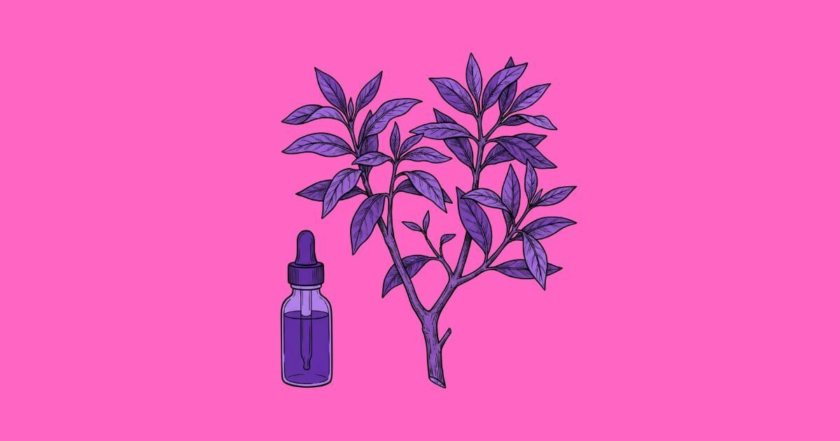 Psicodélicos Atípicos – Sananga