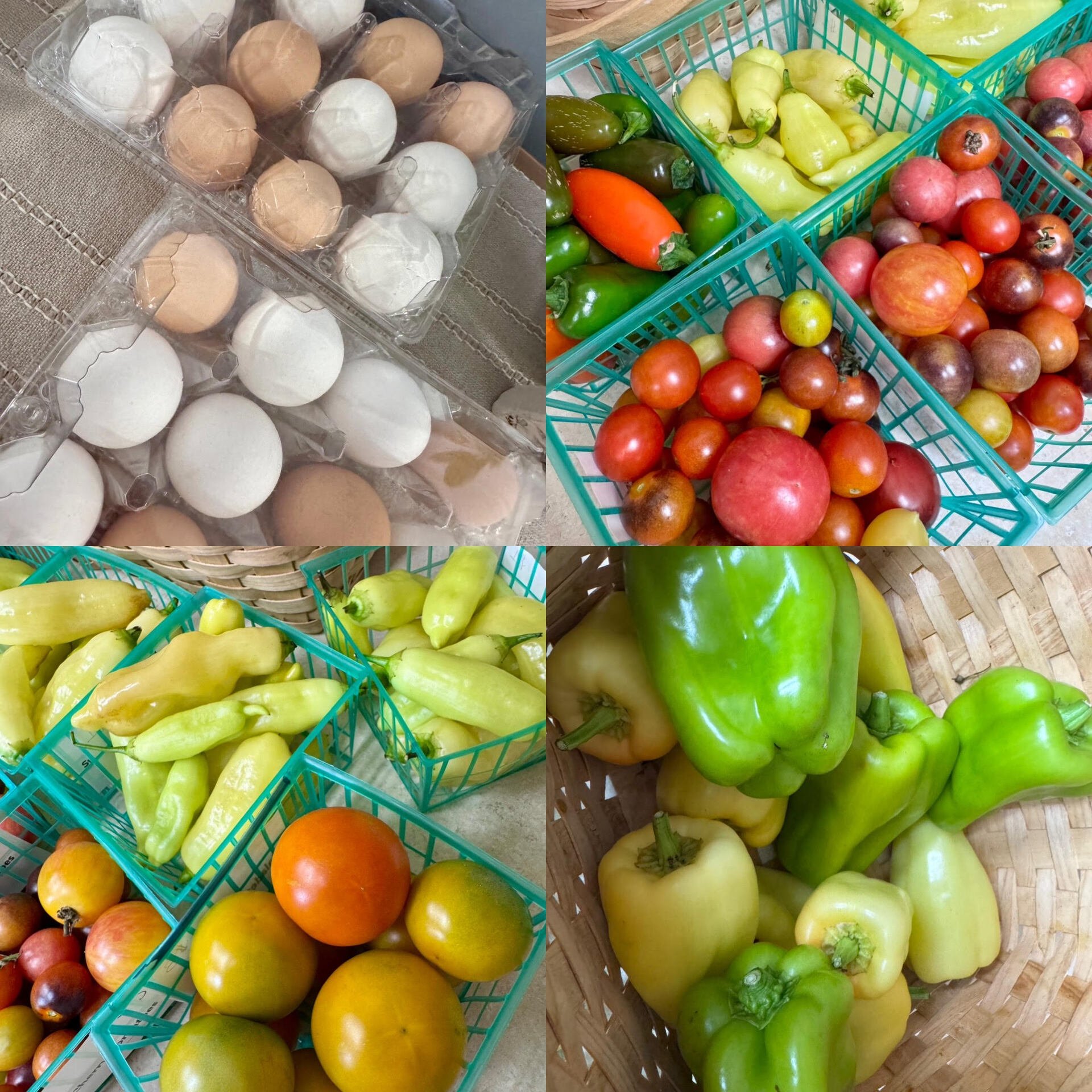 This Week at Market43