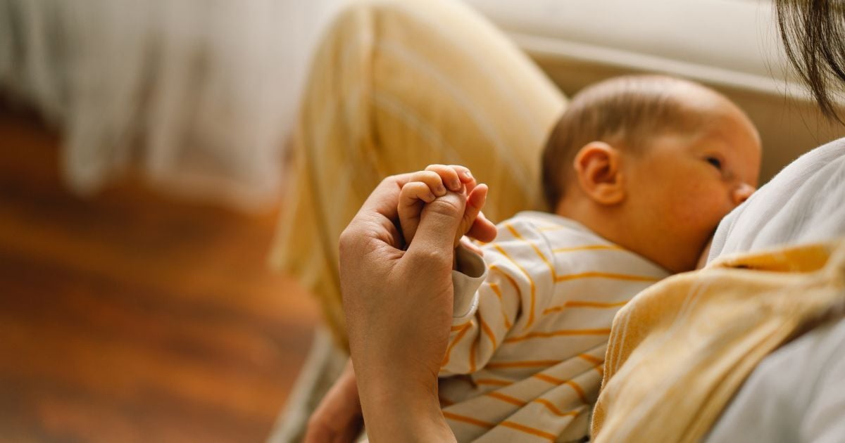 Researchers Detect Wide Range of Environmental Chemicals in Human Milk