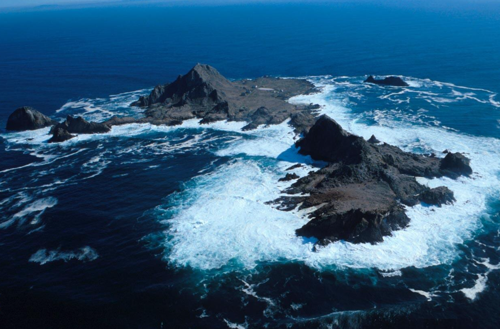 The San Francisco Egg War