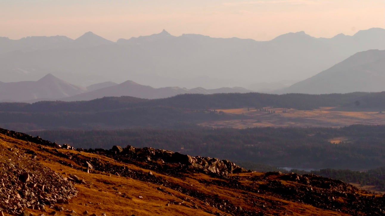 Just gimme a moment!