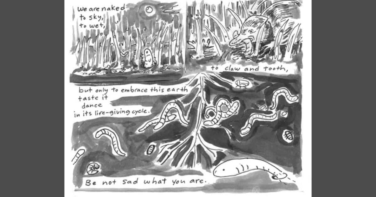 What's New @ Fieldmouse - 5/15/26