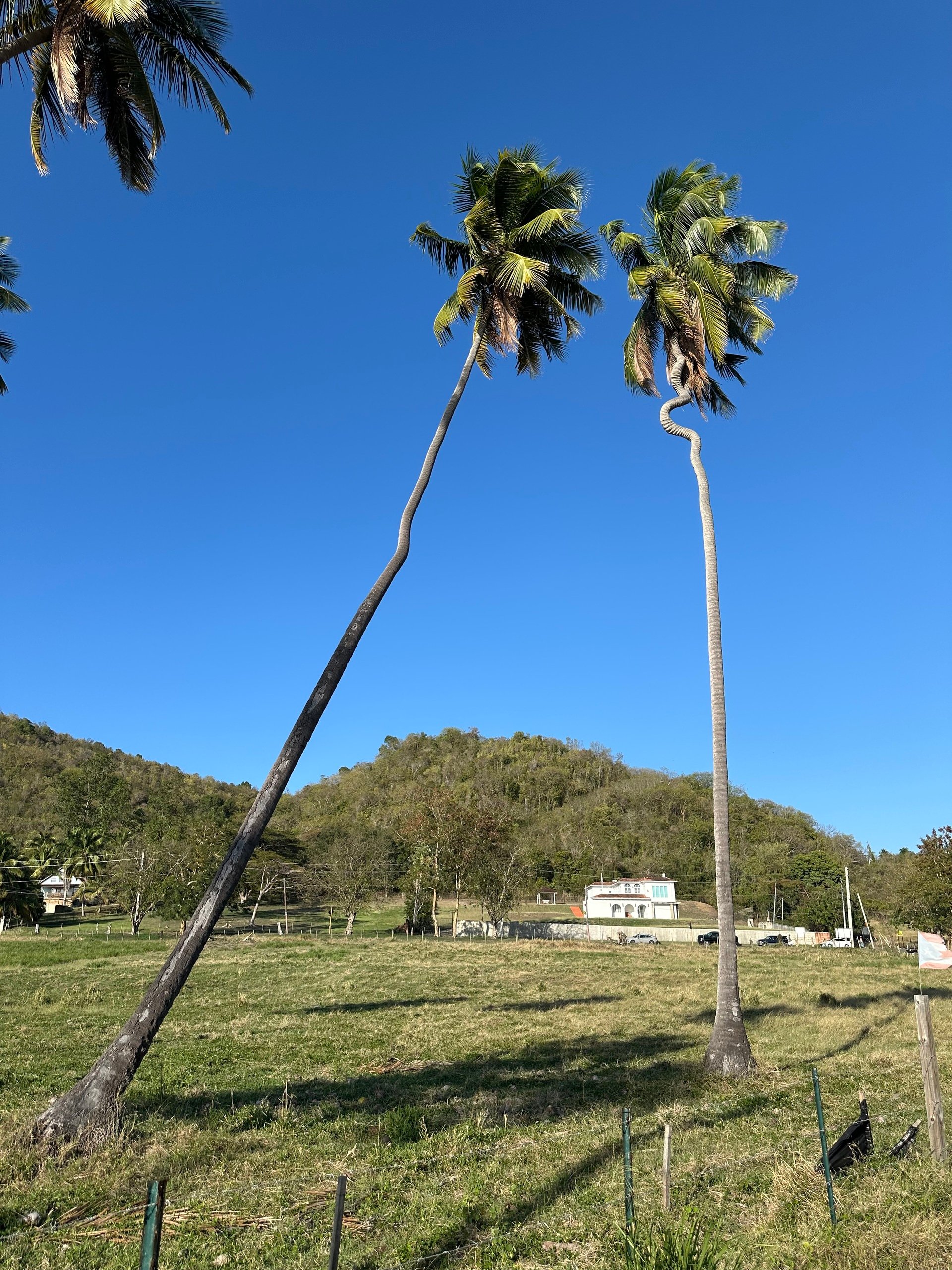 The Power of Saying No