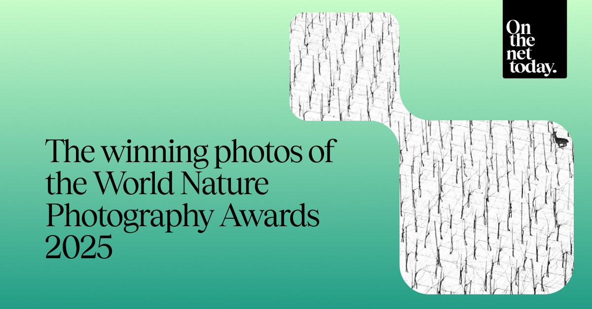 The winning photos of the World Nature Photography Awards 2025
