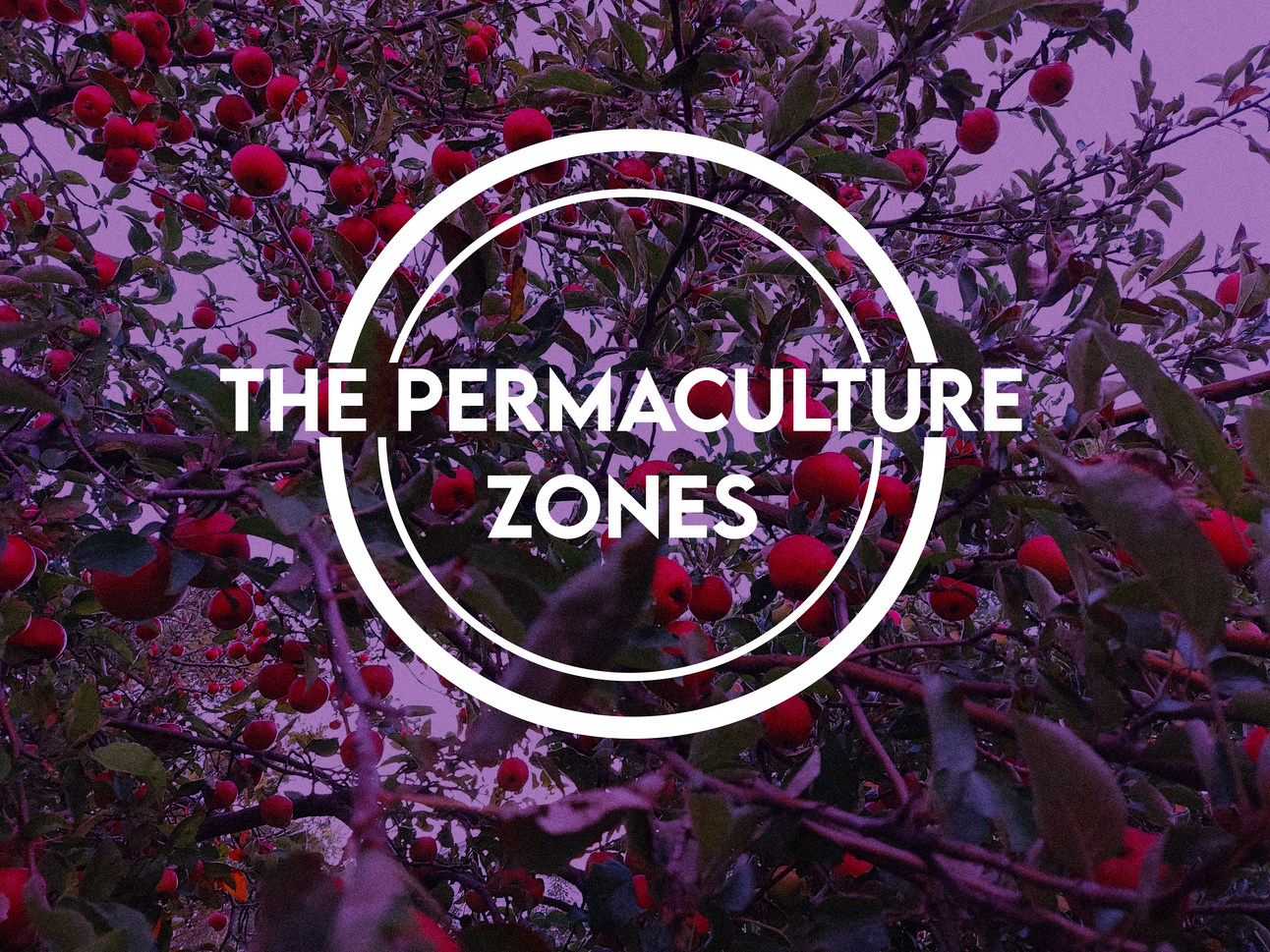 The Permaculture Zones