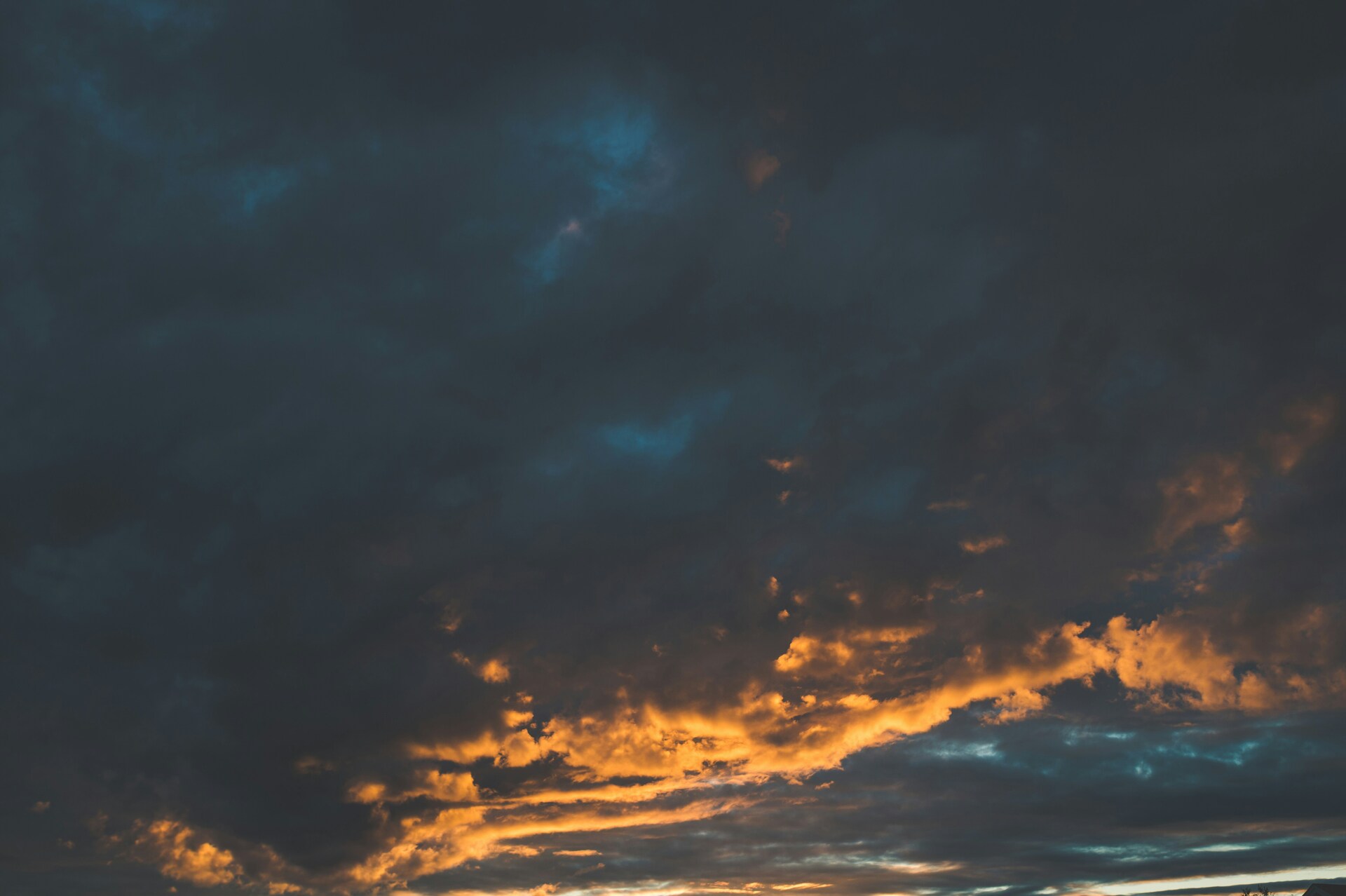 🧡 From free hot-dogs to building lanterns, pick your week's events