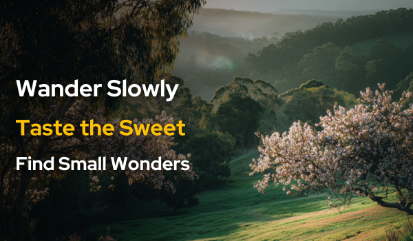 🍃Nature fest & sweet escapes