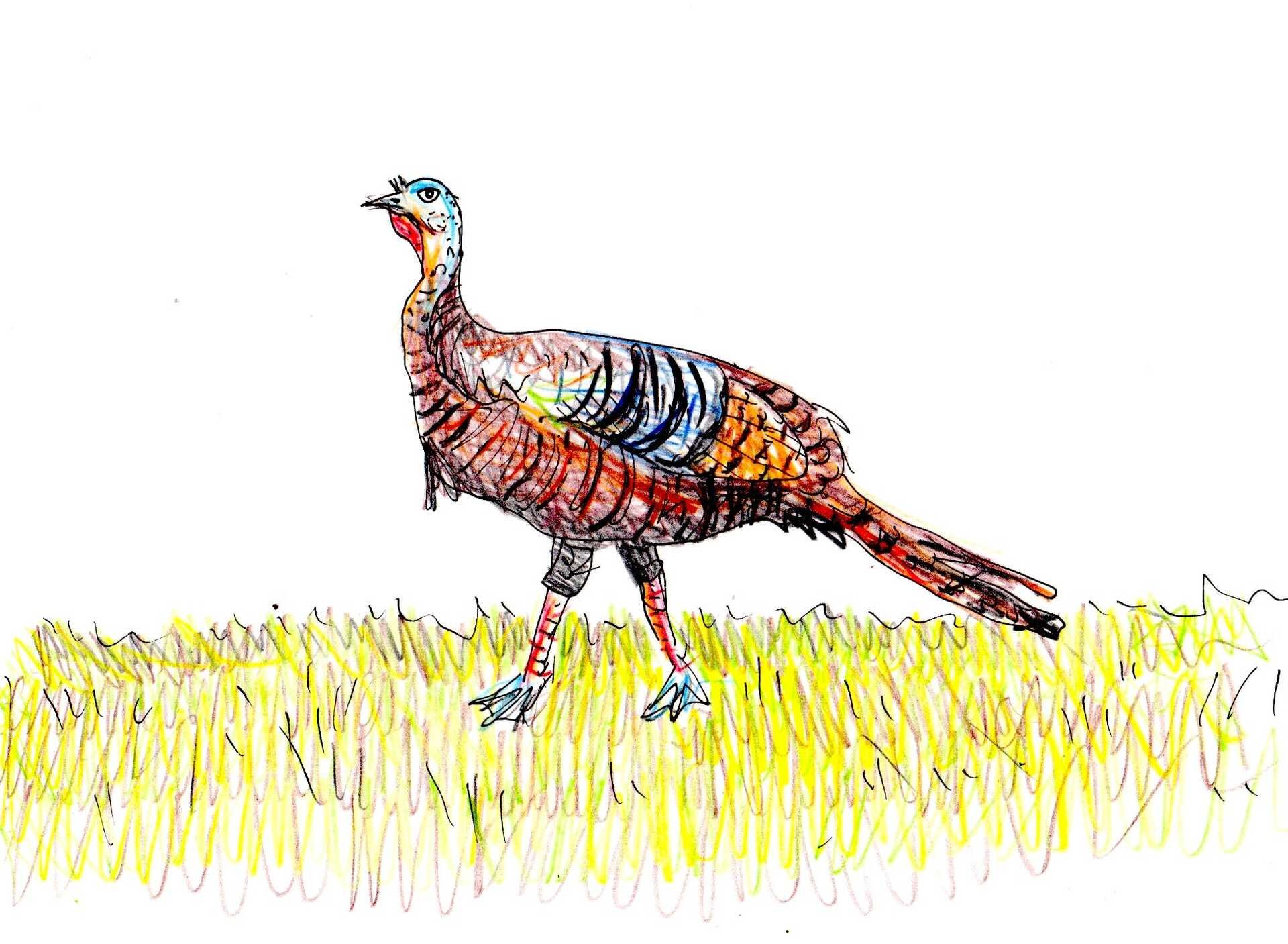 Always In Thanks, No Matter What