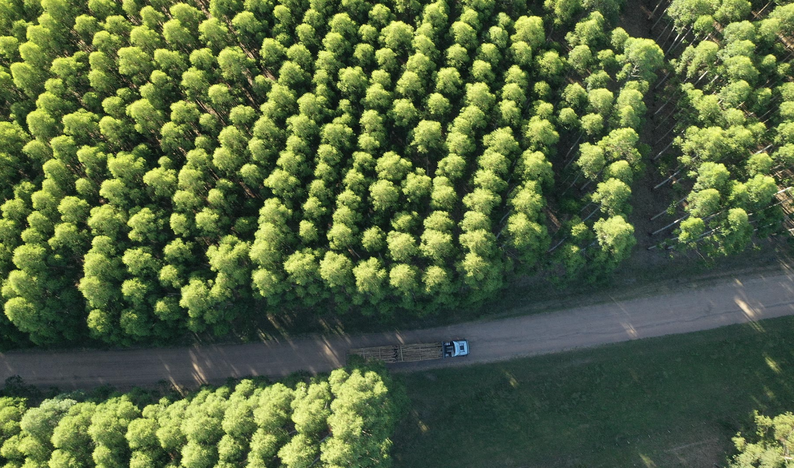 🏭 The Column: January 10, 2026