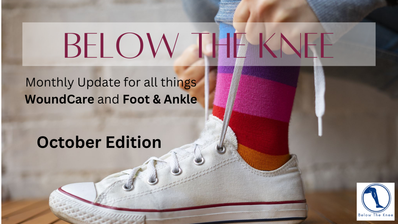 Below The Knee - October 2024 Edition
