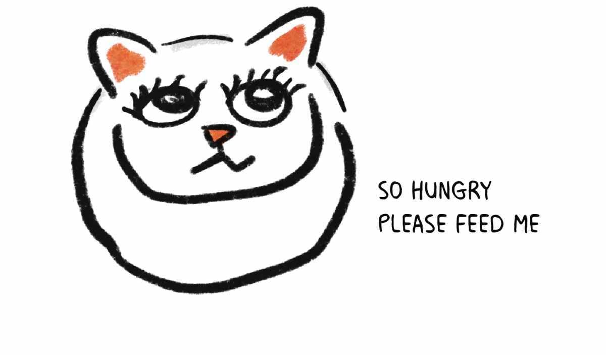 diary comic, featuring my cat