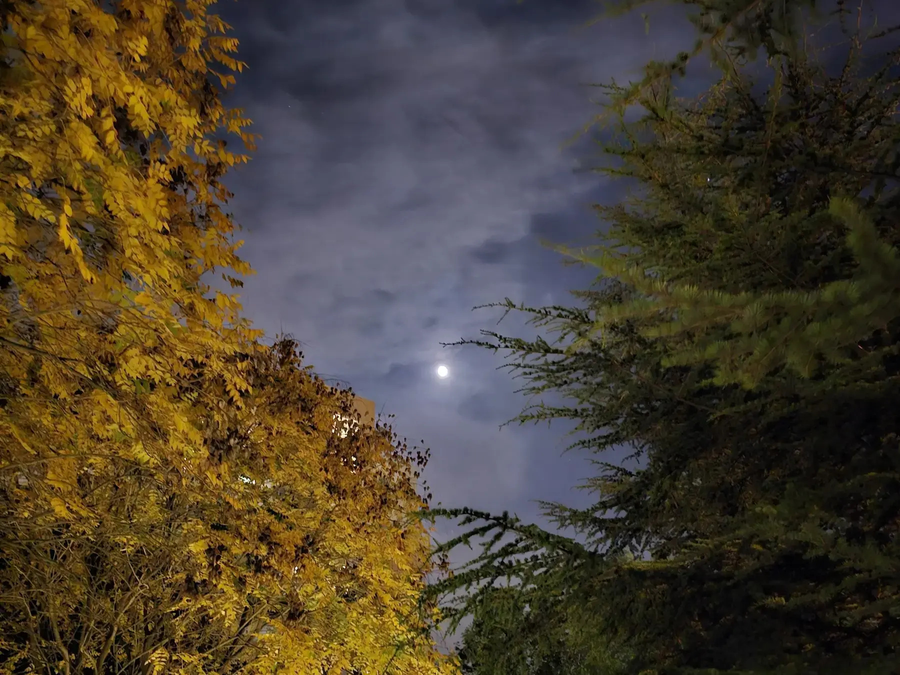 filAnkara #027: 30 Ekim-2 Kasım 2025