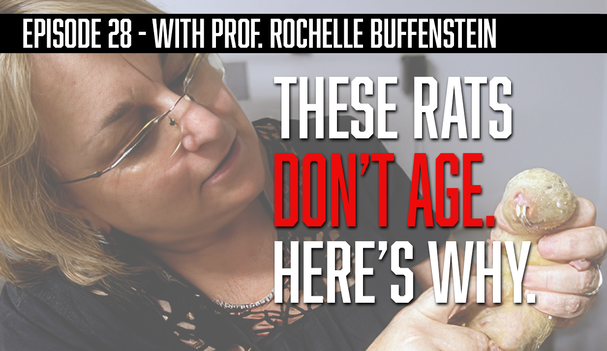 These rats don't age. Here's why.
