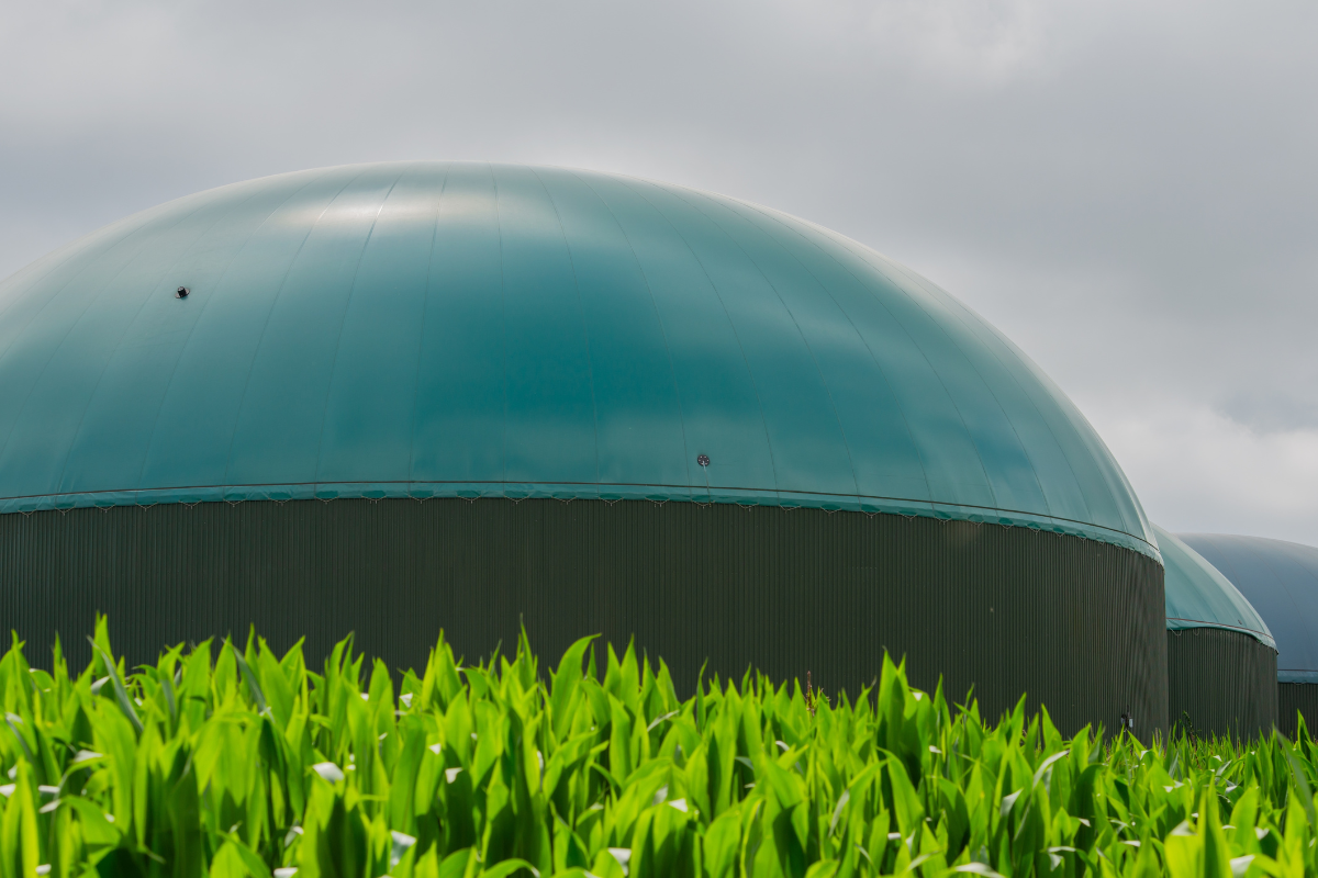 Brazil’s biomethane program: a risk to decarbonization?