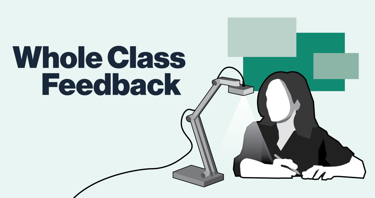 Whole Class Feedback