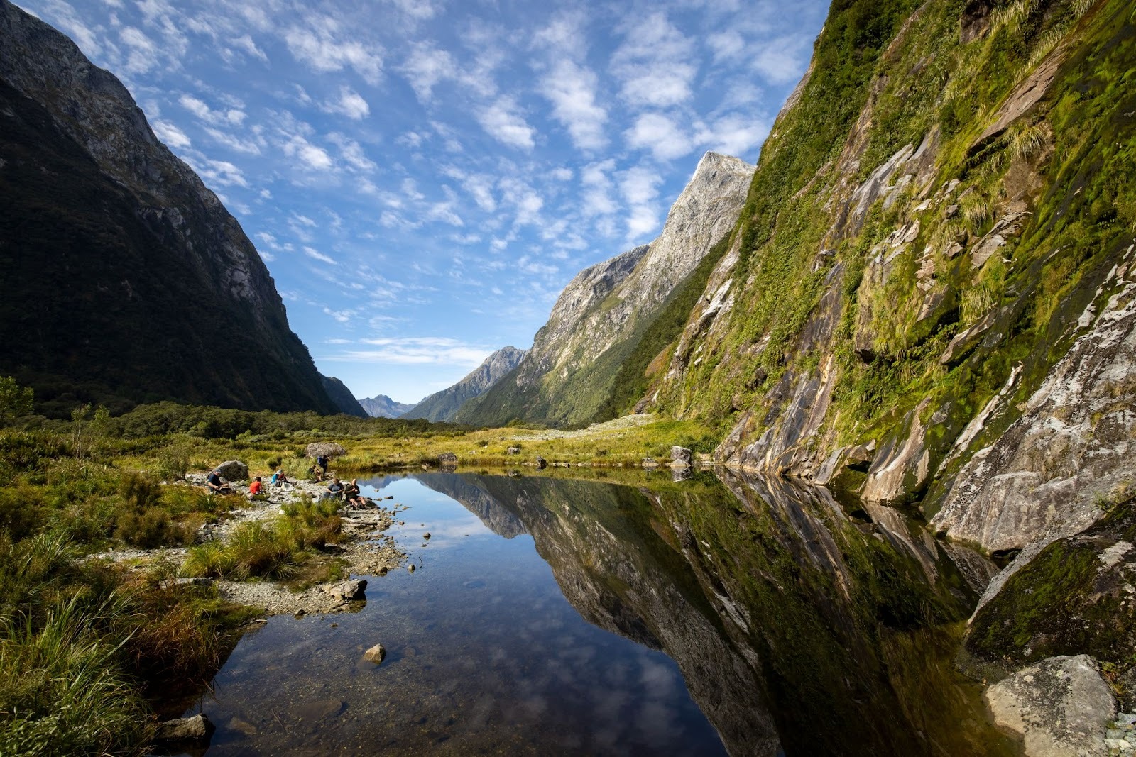 Get Up Close With New Zealand’s Stunning Nature & Wildlife On Foot