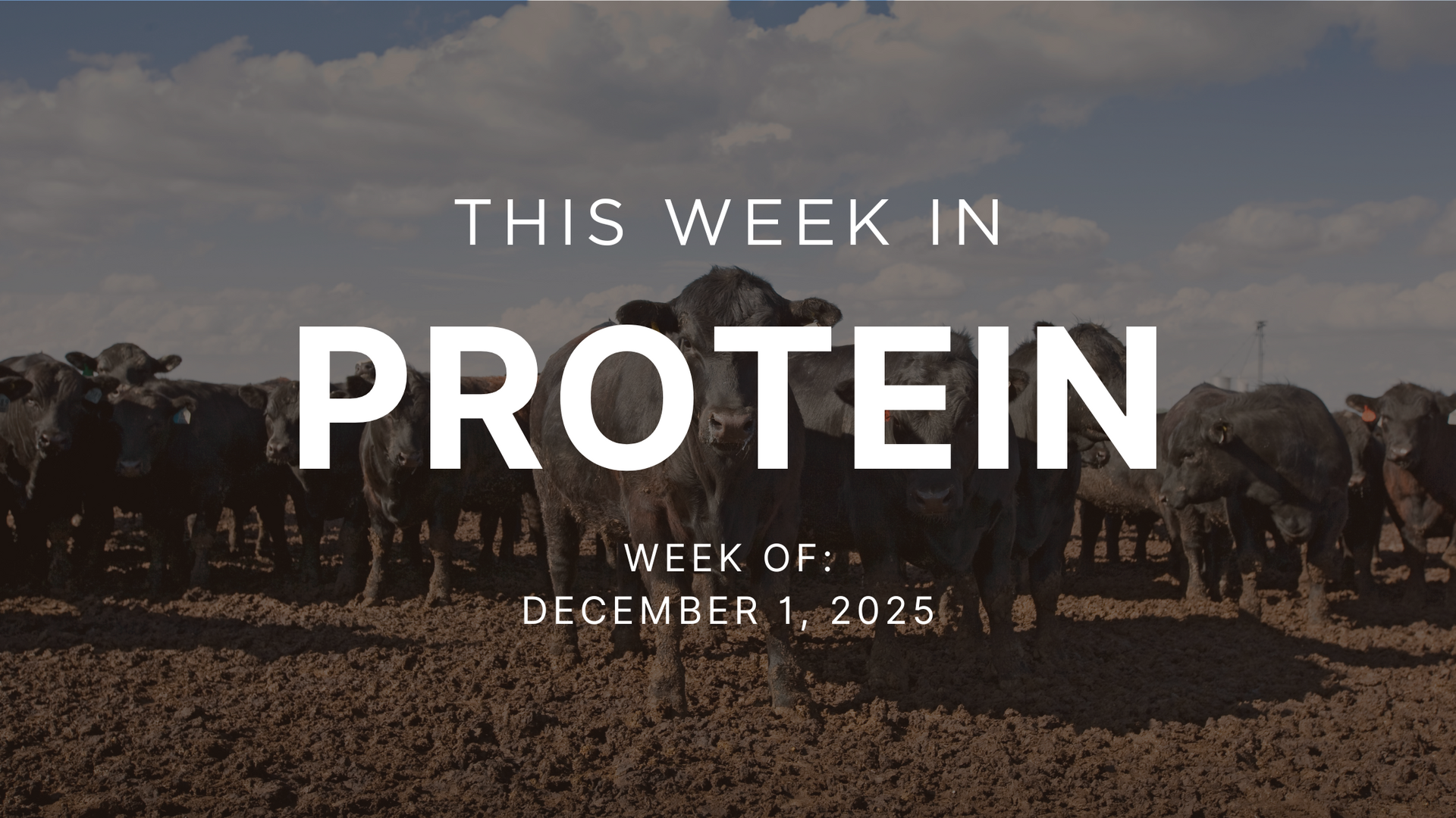 Protein Signals - Week of December 1, 2025