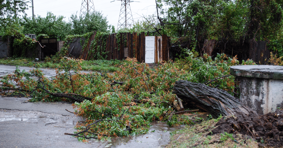 SBA disaster loans available for Kane County residents and businesses affected by August 2025 storms